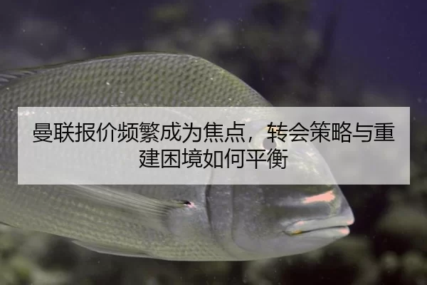 曼联报价频繁成为焦点，转会策略与重建困境如何平衡